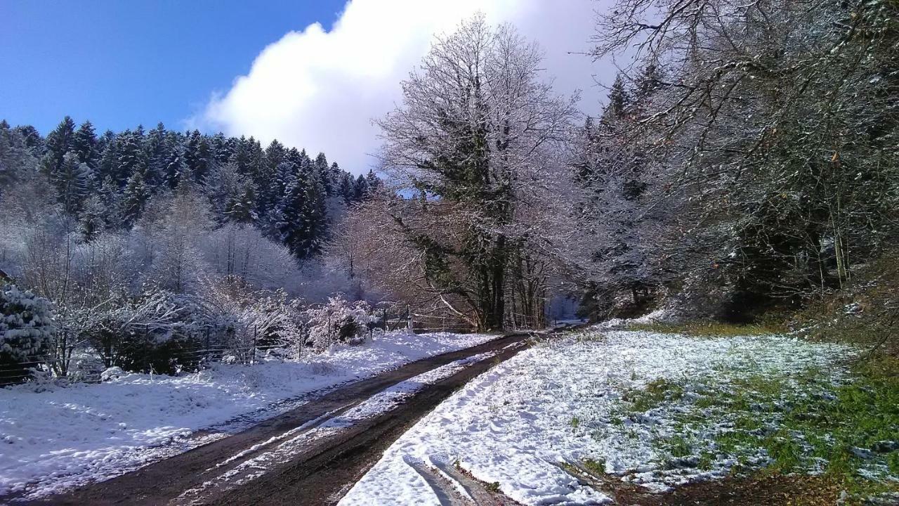 Le Reposion Villa Saint-Amé Buitenkant foto